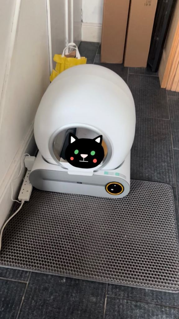 Automatic Cleaning Litter Tray