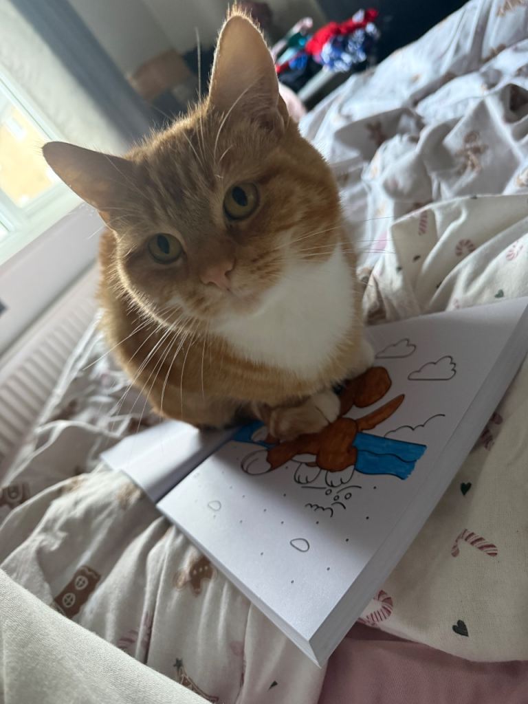 Ginger female cat 