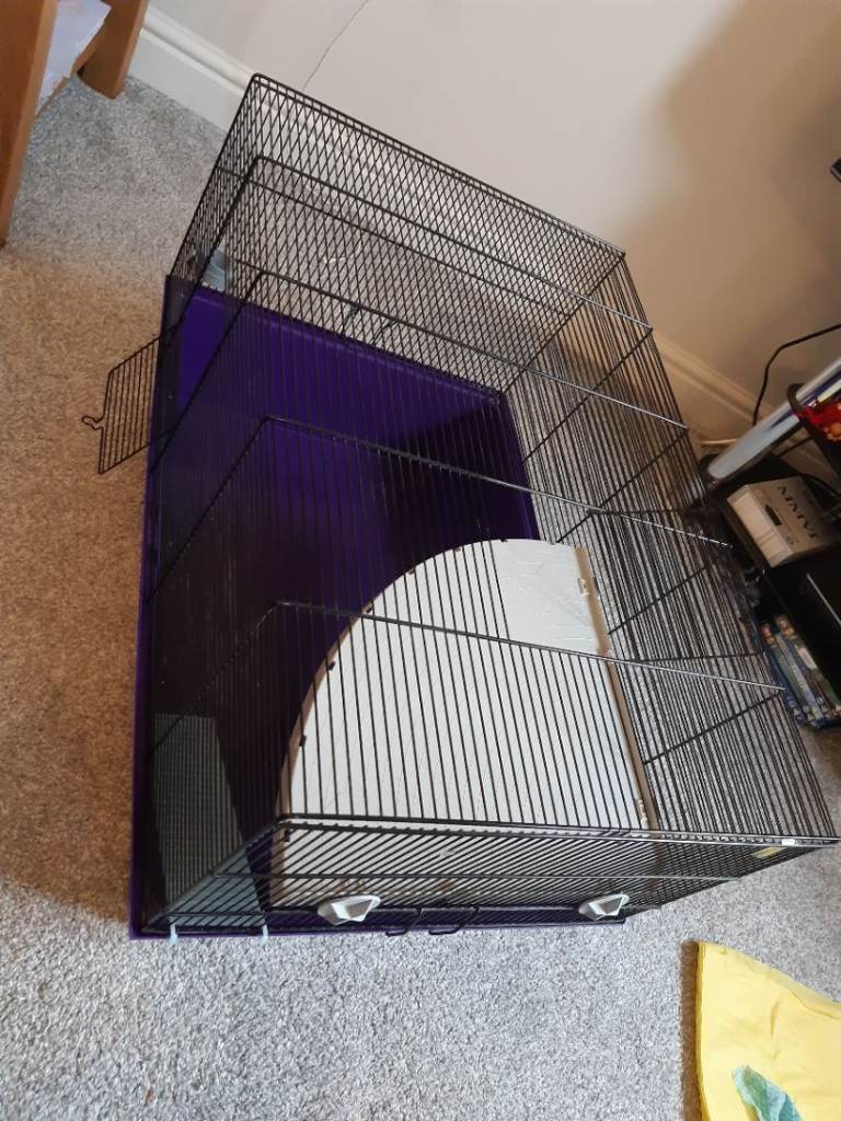 FREE Large hamster cage and accessories 