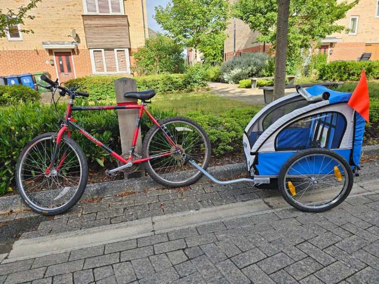 Raleigh Bike with Kid Carrier