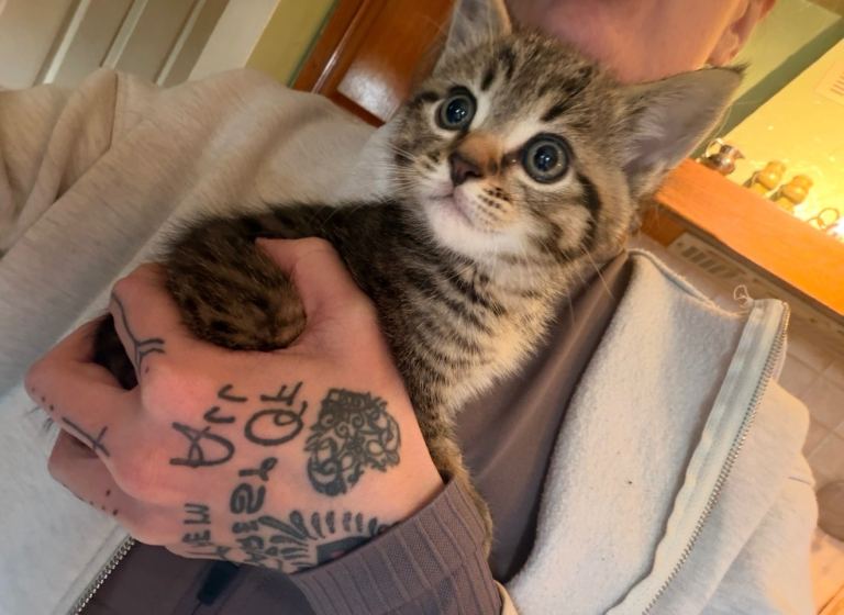 1 little boy left ready now