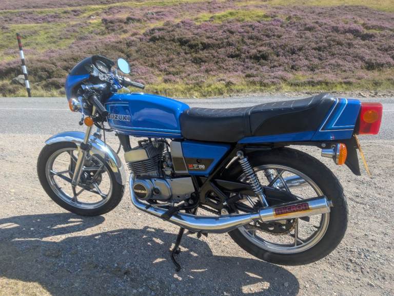 Suzuki, 1981, 247 (cc)