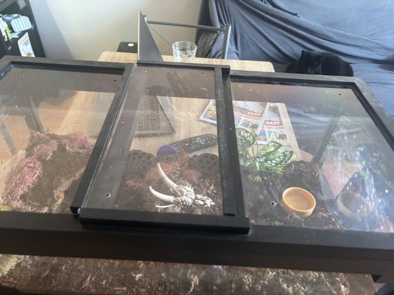 Xl Tarantula Enclosure