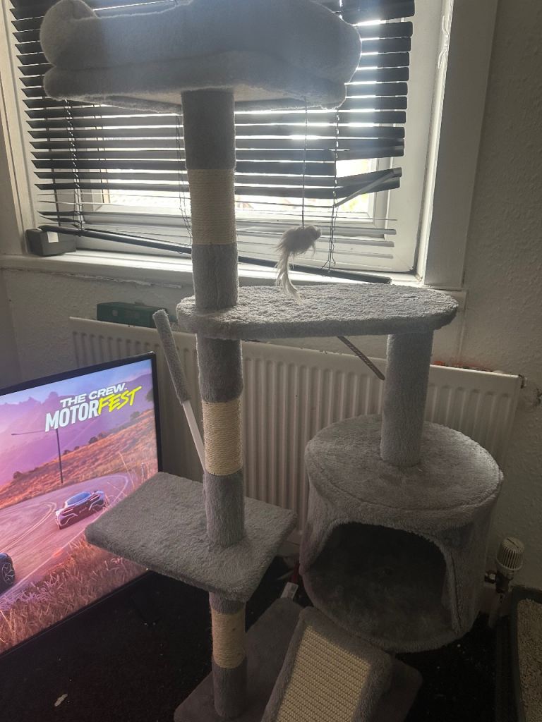 Cat tree for kittens 