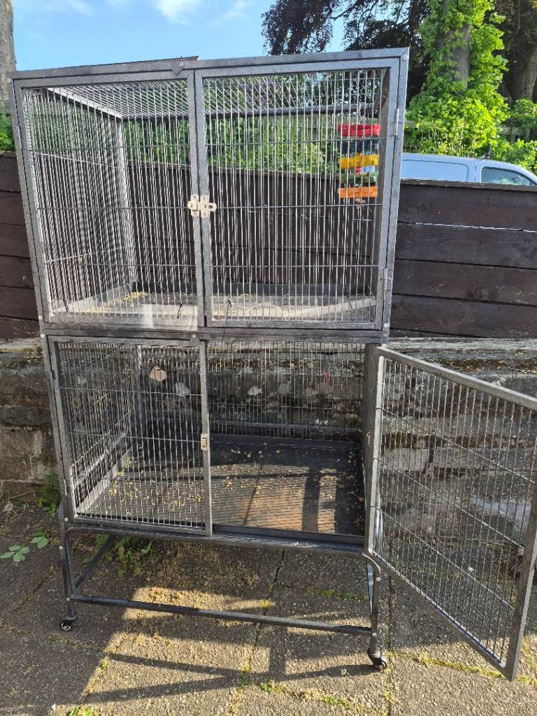 Rat cage