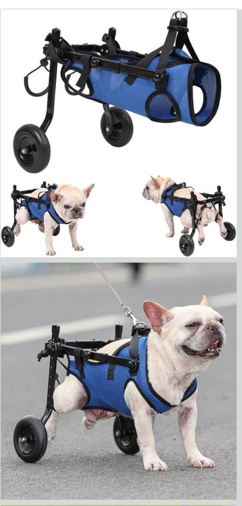 Wheelchair for dog; adjustable