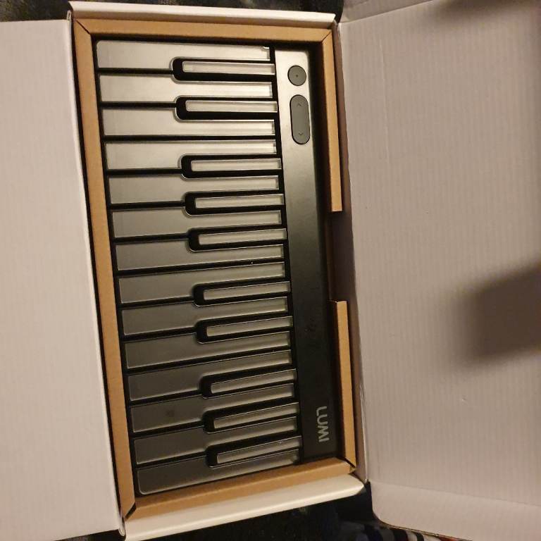 image for Roli Lumi keys 