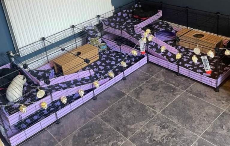 Handmade Cage liners for C&C , Midwest, Kavee 