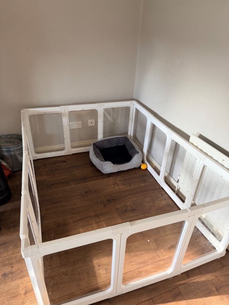 Indoor Dog Pen 