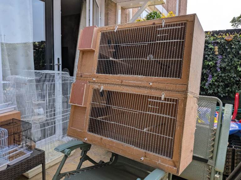 Budgie breeding cages 