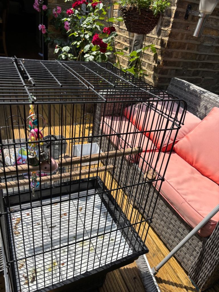 Parrot cage 