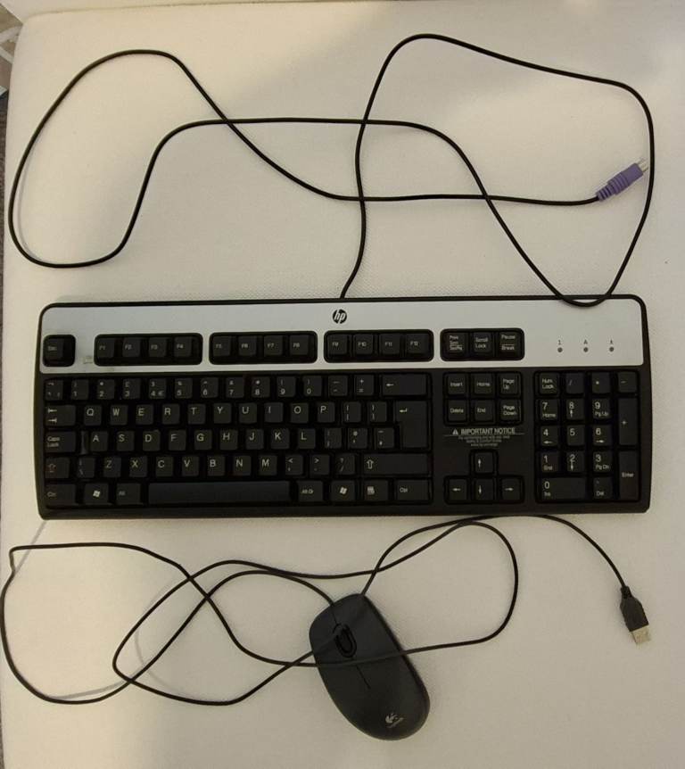 HP Wired Keyboard (PS/2 Connection) & Logitech USB Mouse