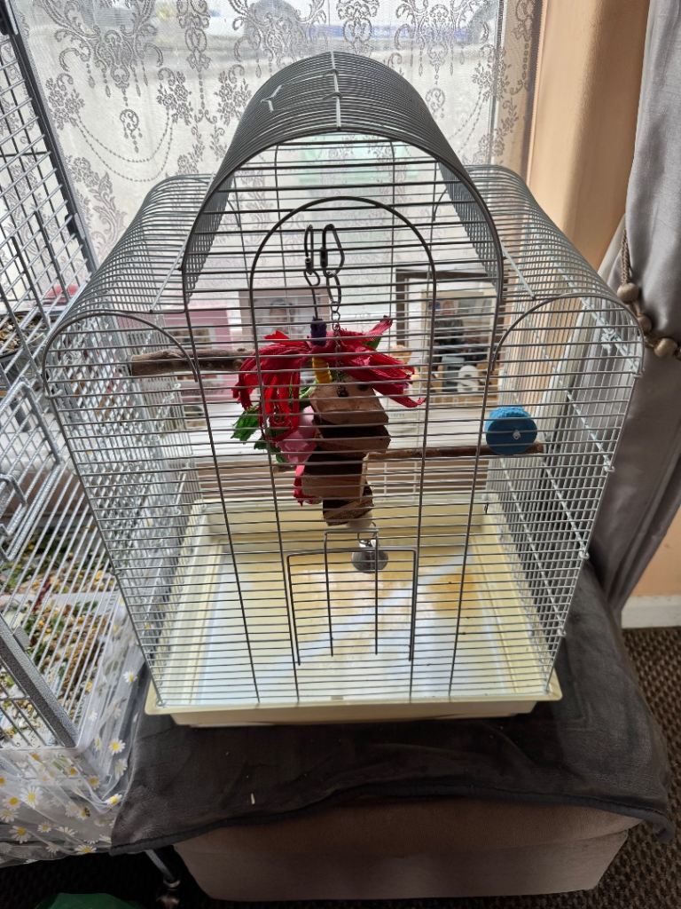 Bird cage 