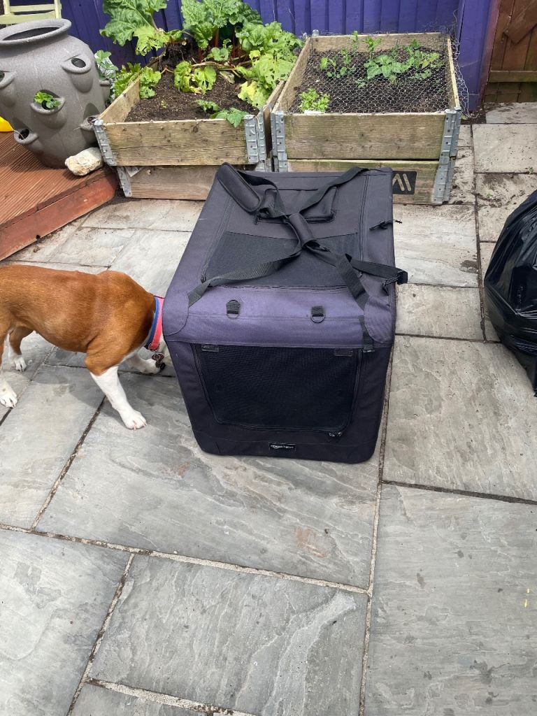 Medium size dog bed carrier 