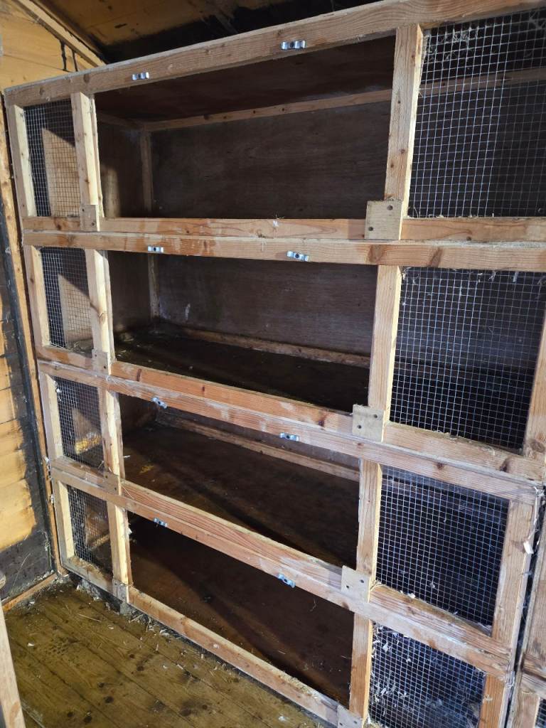 Variety of rabbit hutches
