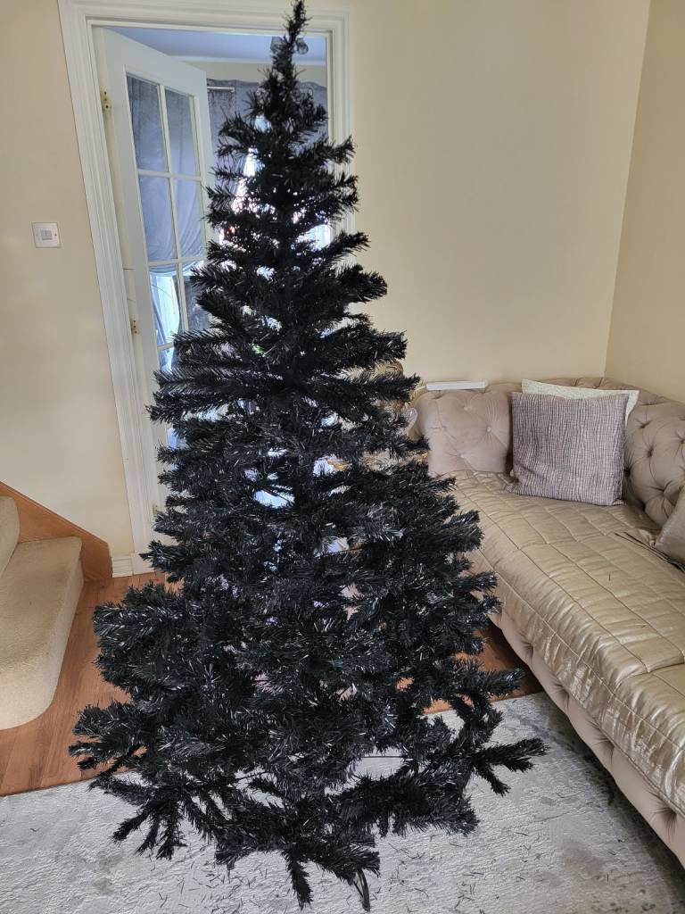 6FT BLACK COLORADO PINE XMAS TREE/Can deliver 
