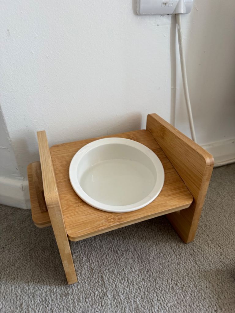 Cat/Dog Elevated Ceramic Bowl