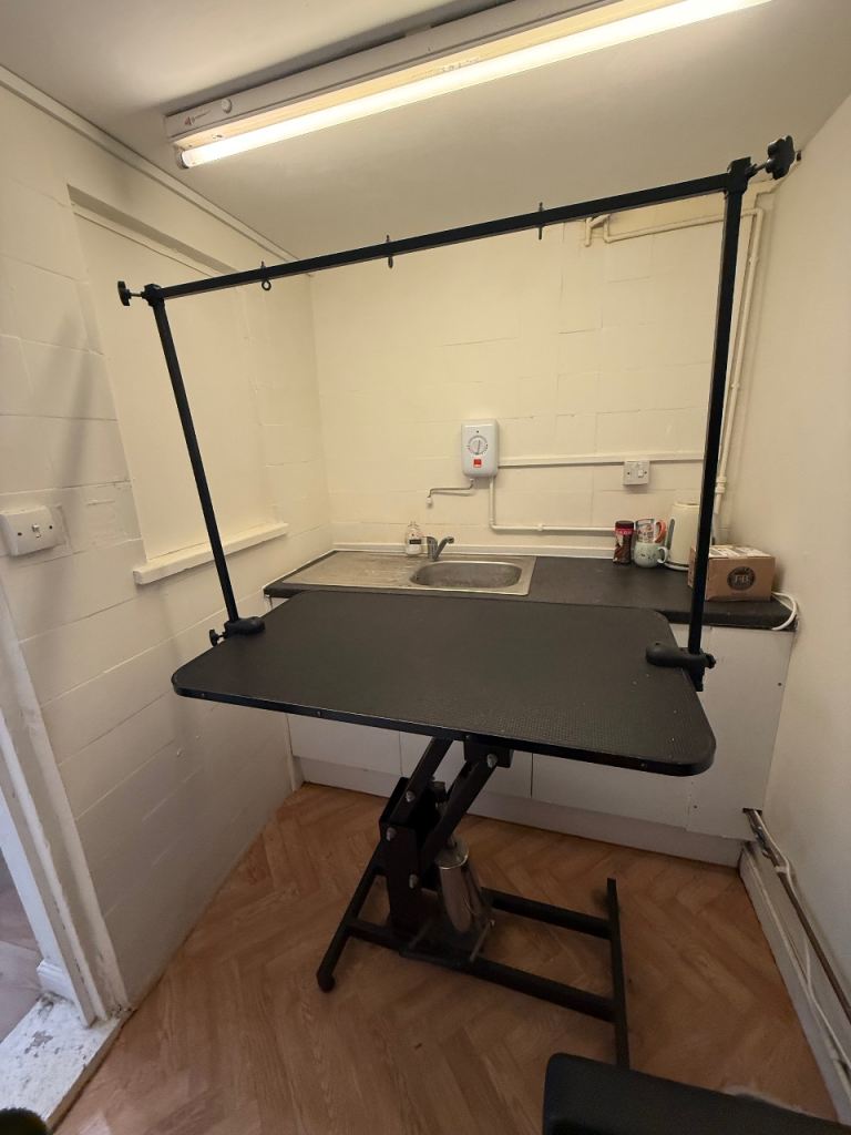 Hydraulic dog grooming table 