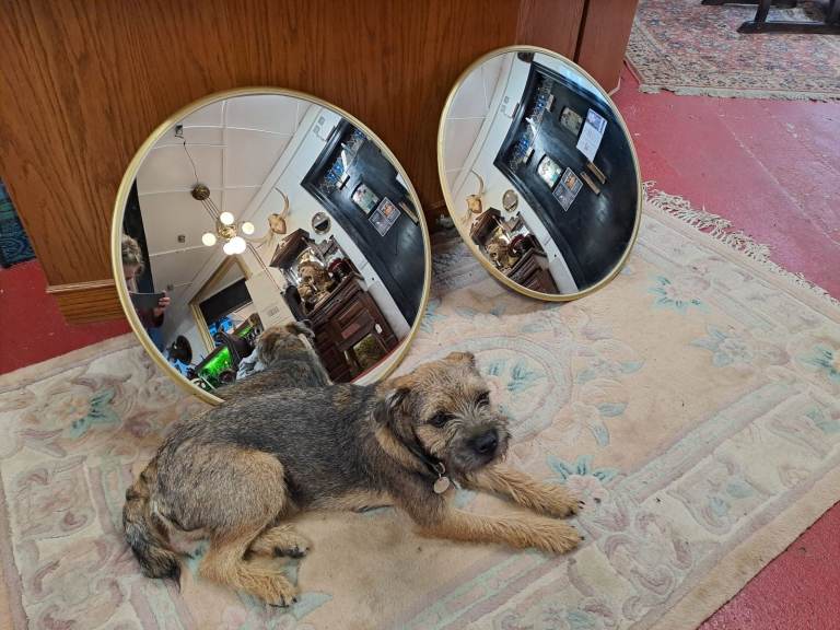 Mid Century Modern Shop Security Decorative Convex Mirrors