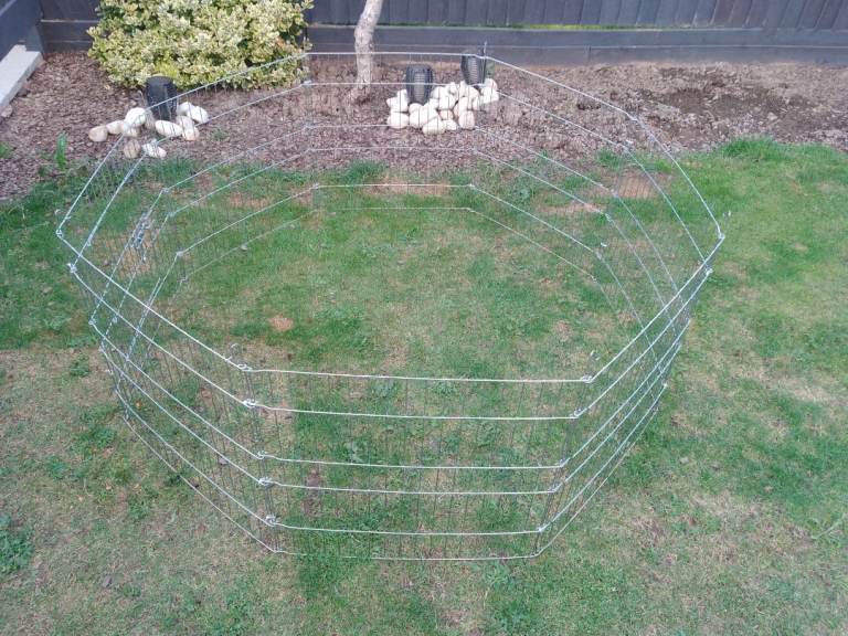 GUINEA PIG/RABBIT RUN £10