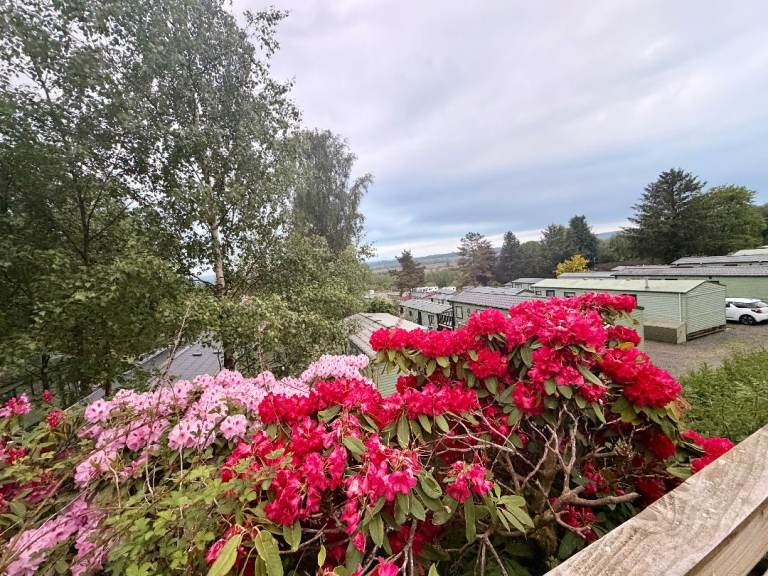 🐶 Peaceful Owner-Focused Holiday Park Near Loch Lomond | 12 Month Season | From £39,995