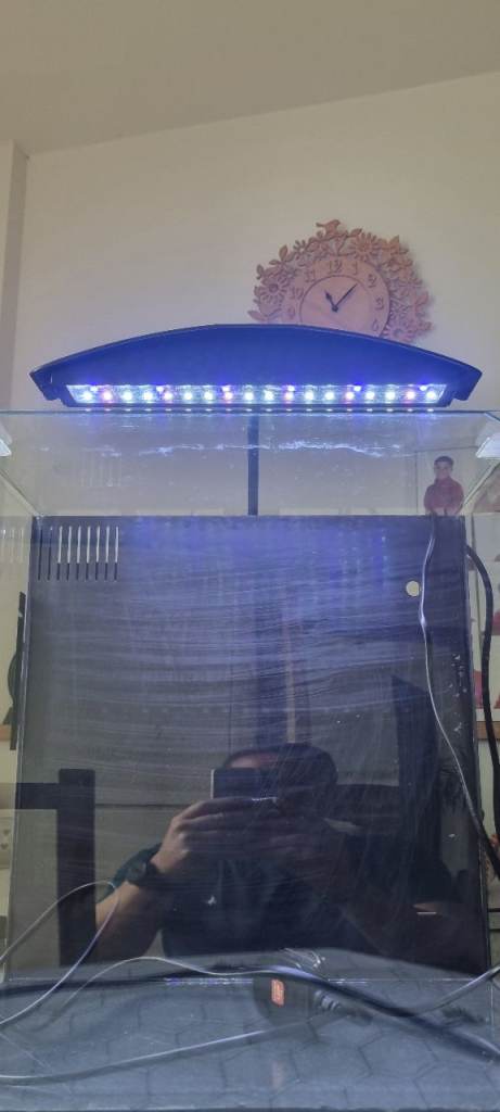Aqua one arc 46l fish tank