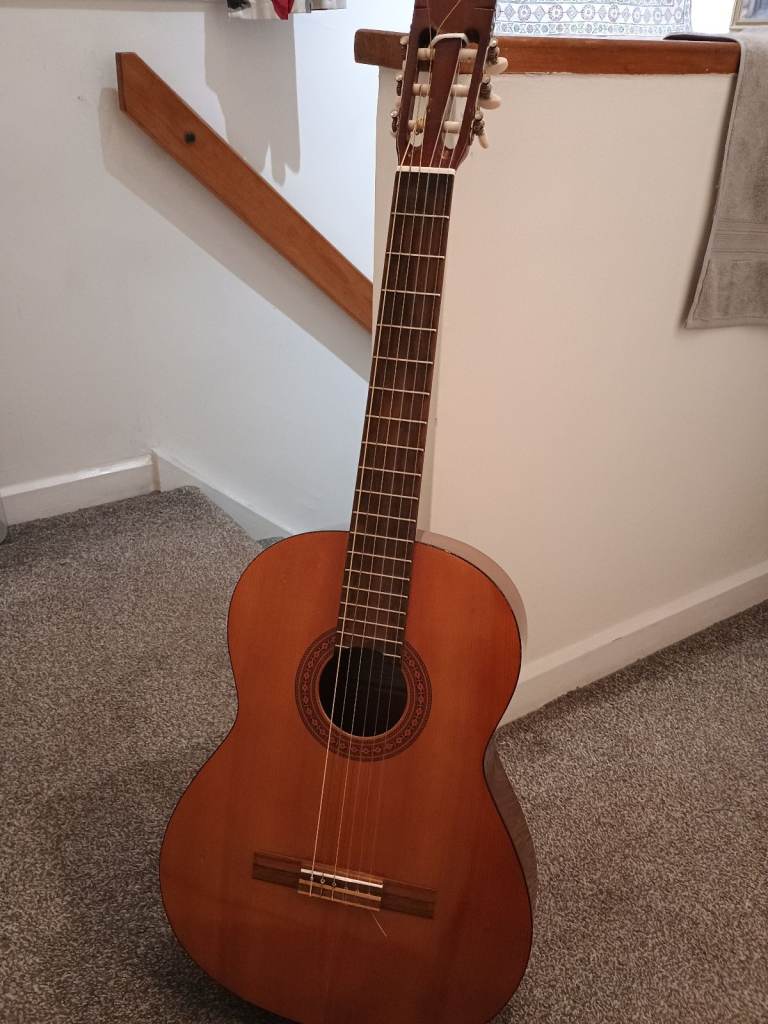 Classical Acoustic Guitar.