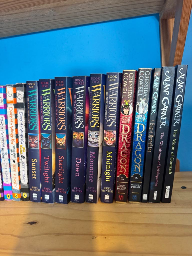 Children's Book Bundle - Diary of a Wimpy Kid, Warriors, How to Train Your Dragon