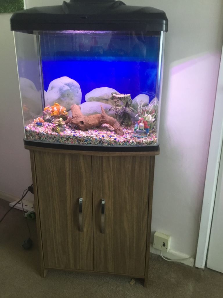 Indoor fish tank and stand as seen