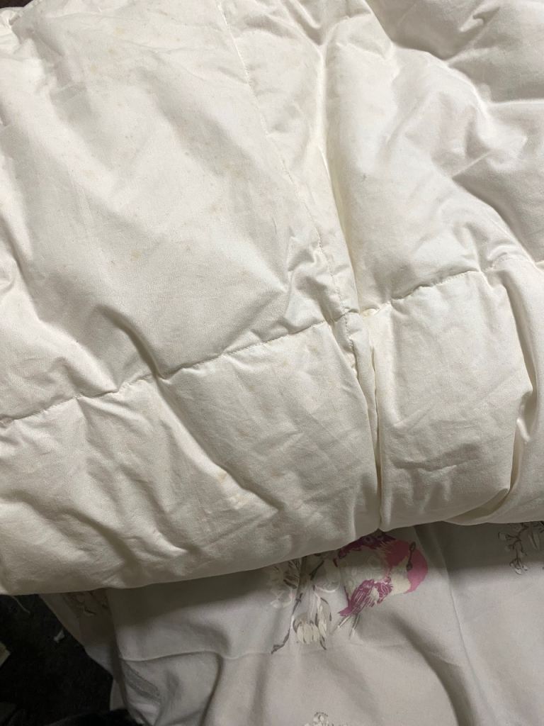 2 x double winter or summer white goose down duvets - £8 (Wallisdown)