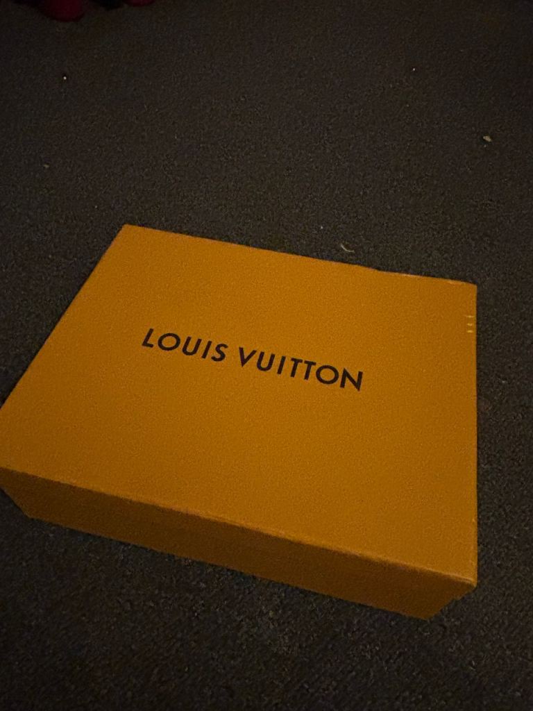 Louis Vuitton boots 