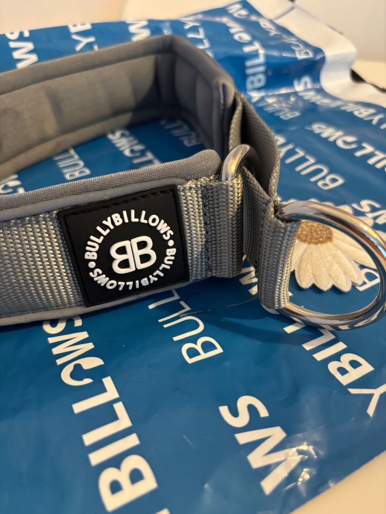 Bullybillows large 	5cm Slip on Collar | Foam Padded - Metal Grey ×