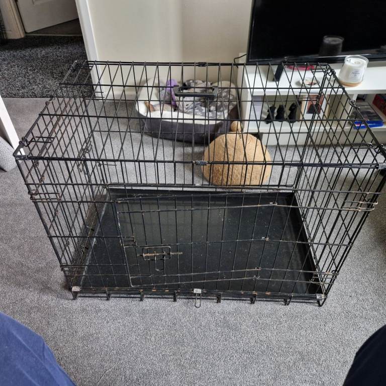 Dog crate 3