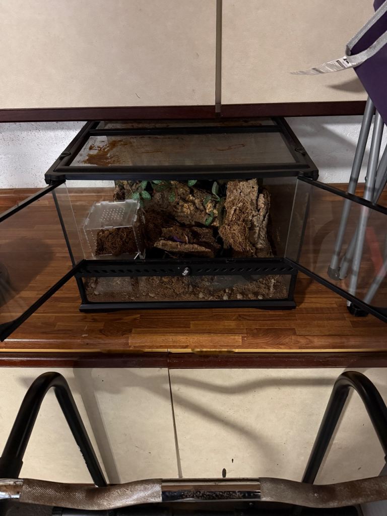 Exo Terra 45x45x30cm reptile enclosure 