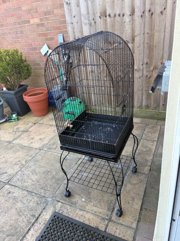 Parrot cage 