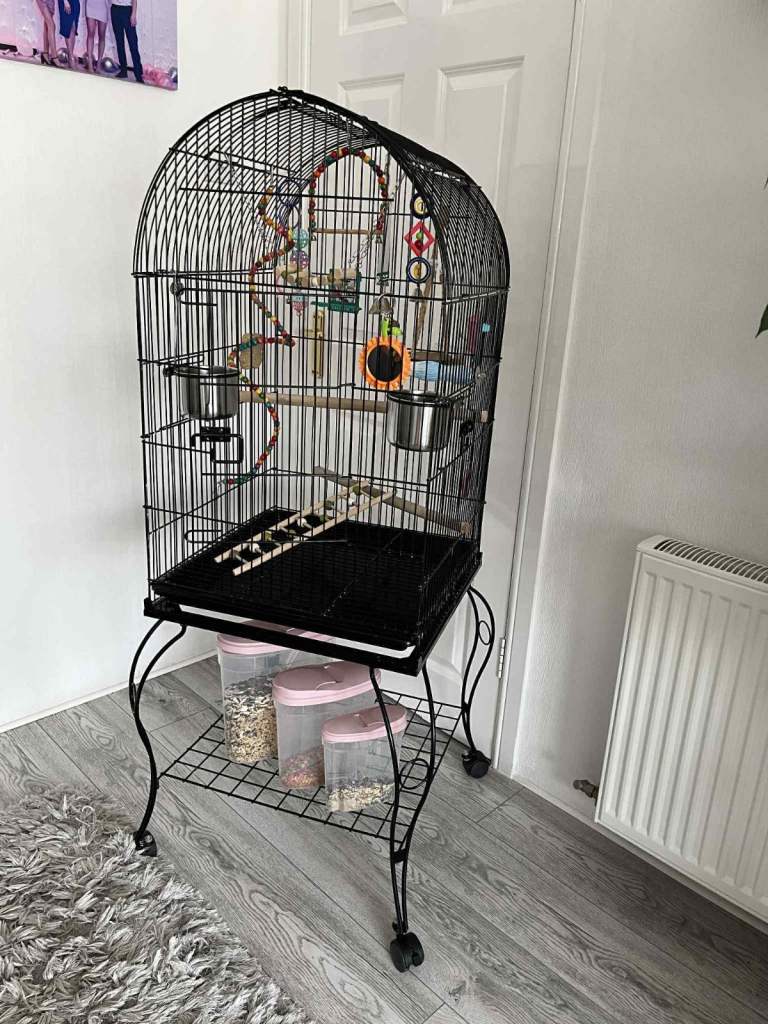 Bird cage 