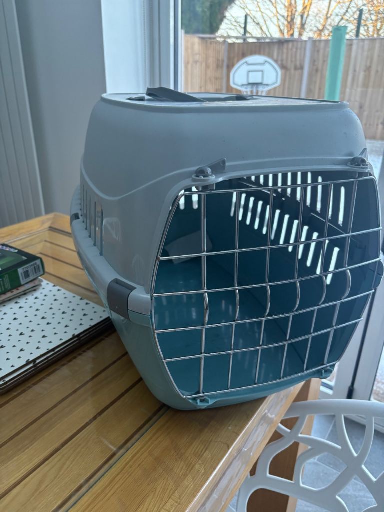 Cat carrier pets at home large