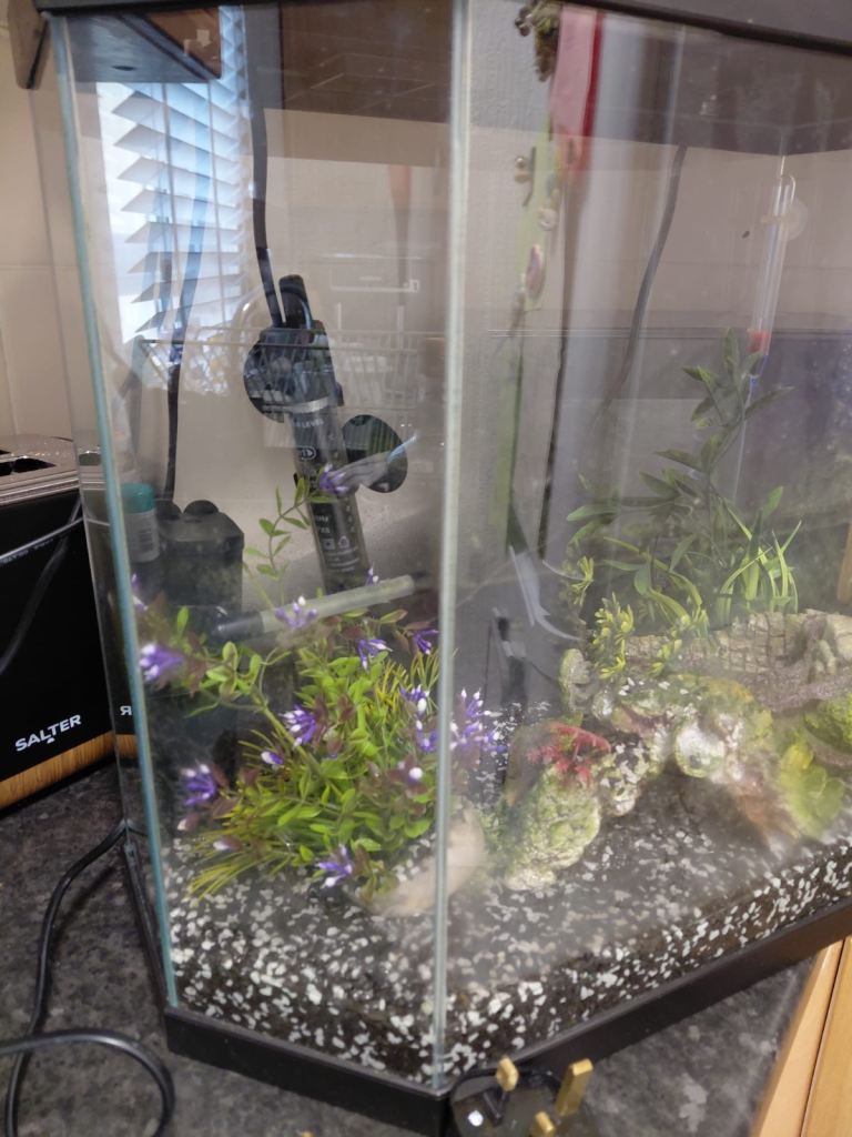Fish tank 