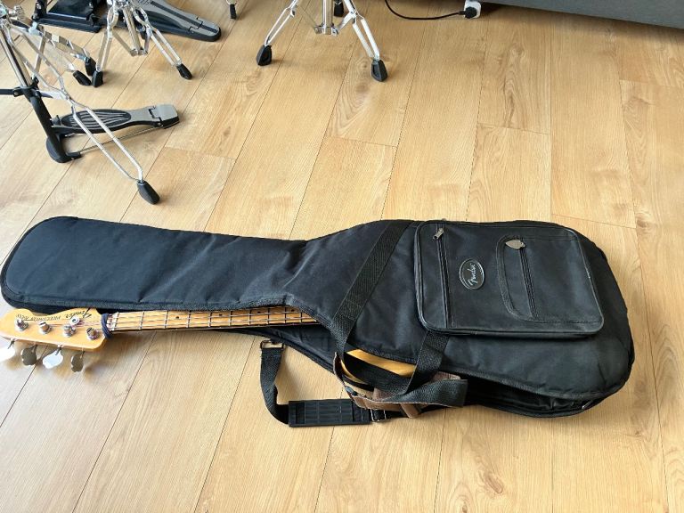 Electric bass guitar gig bag