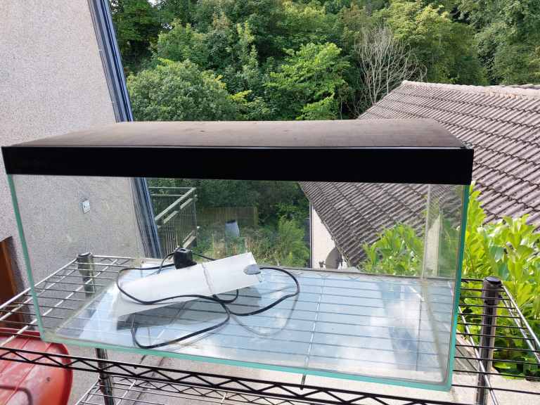 Reptile Tank