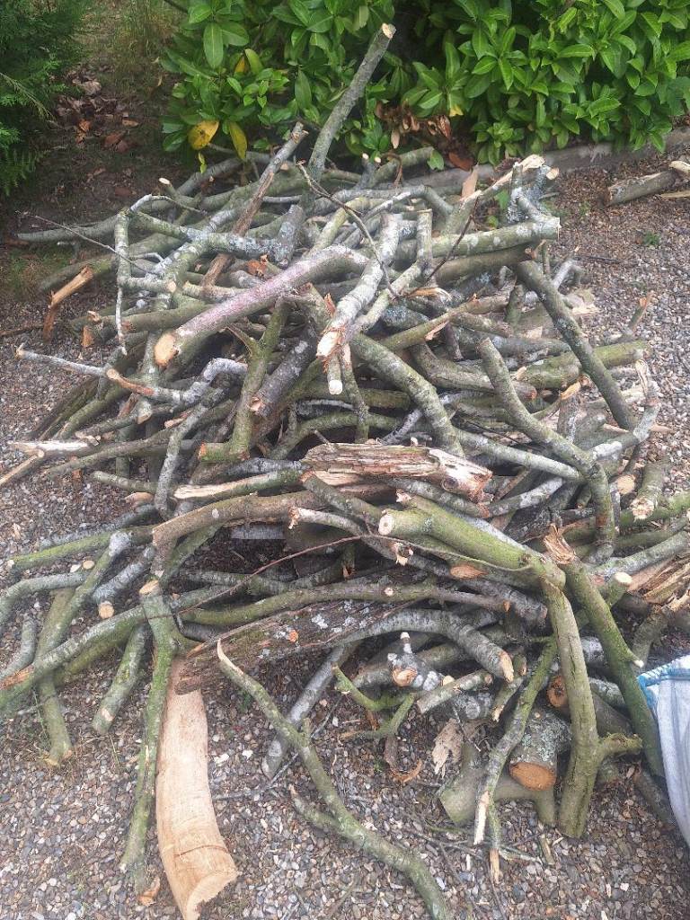 Free branches wood logs