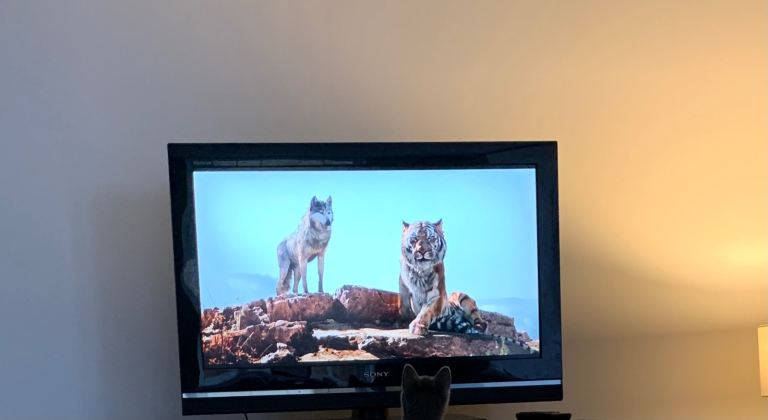 Samsung tv 