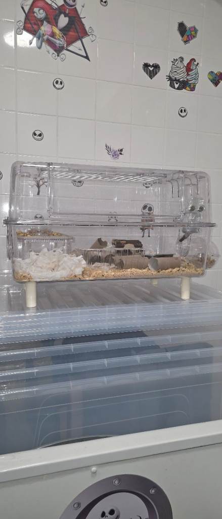 Mouse cage