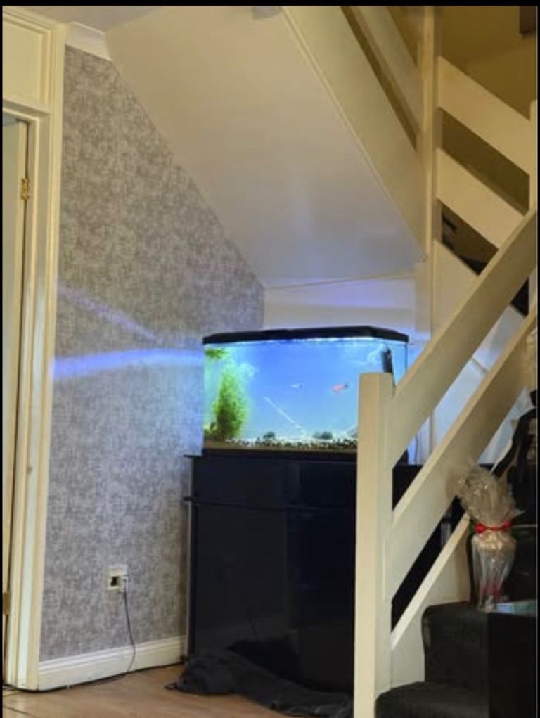 2ft 4  fish tank 