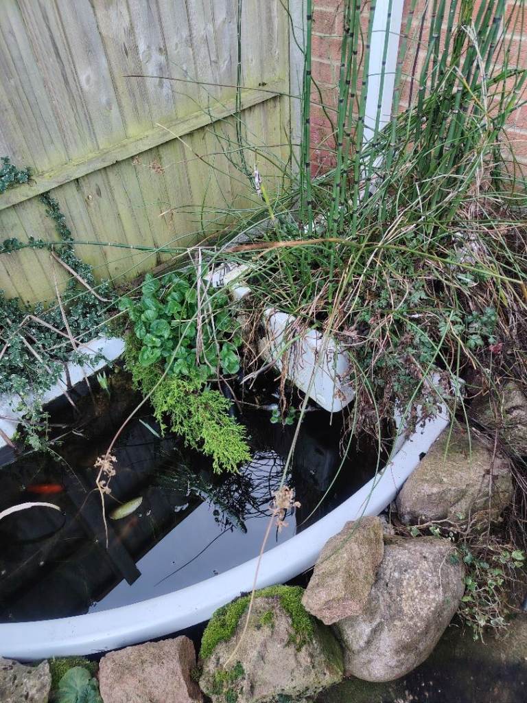 Repurposed pond