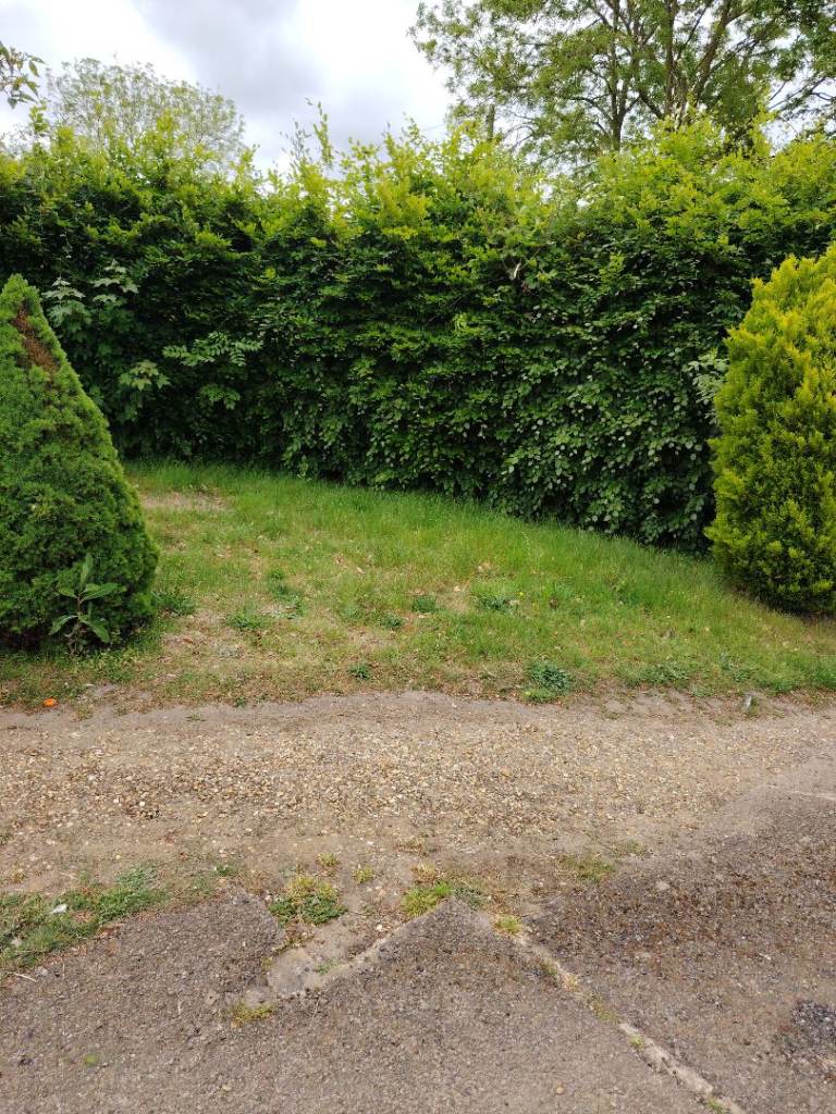 Hedge trimmer