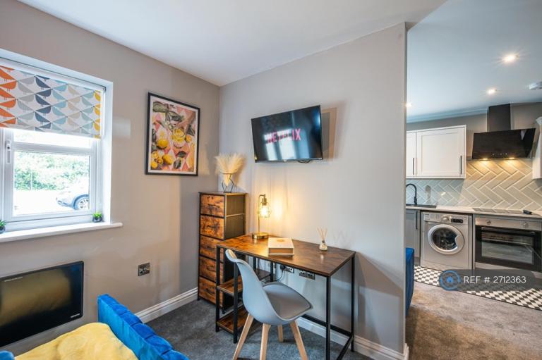 Studio flat in Haydon, Swindon, SN25 (#2712363)