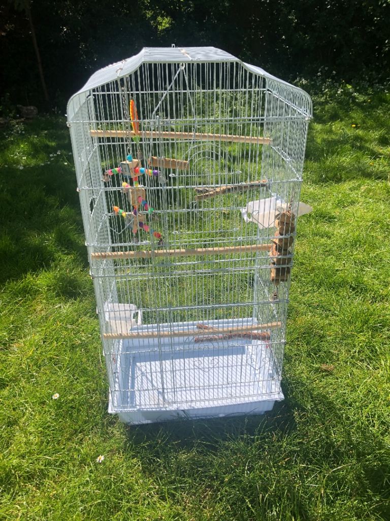 Nice big tall bird cage with accessories ready to use