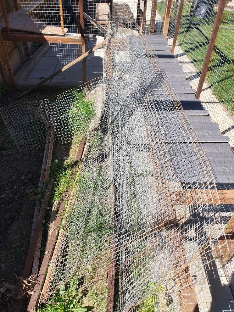 Wire mesh fence panel