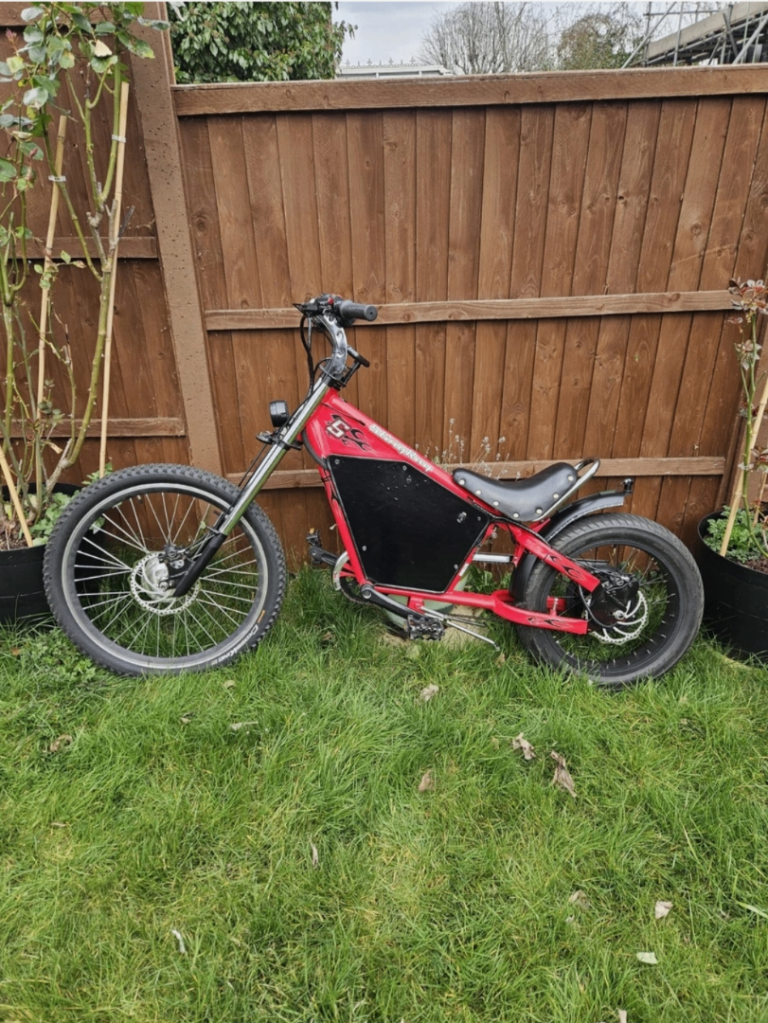 Adult/Teen Electric Schwinn stingray chopper 